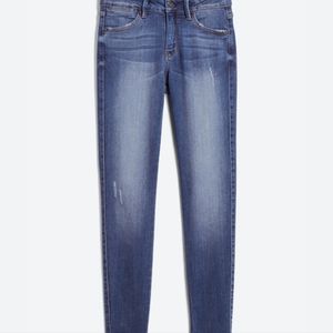 StitchFix Rhea Skinny Distressed Jean
